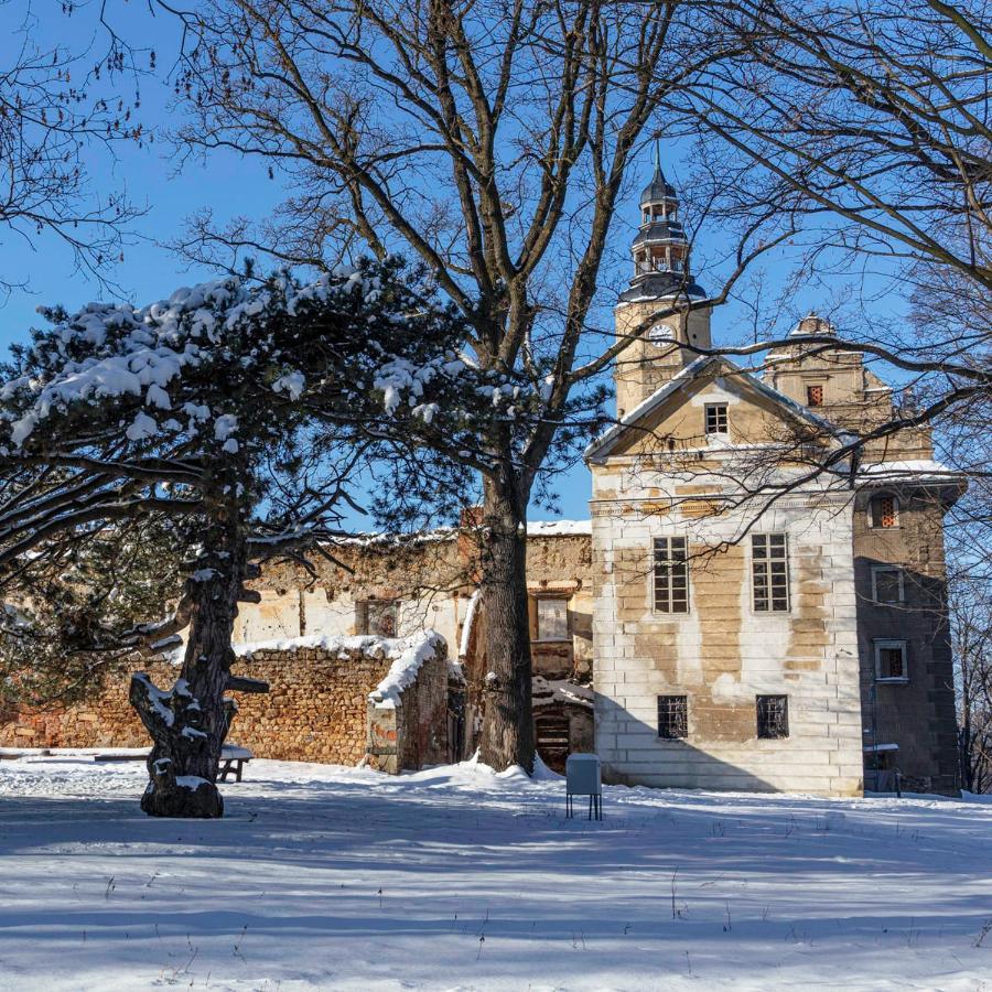 Palac Gorzanow المظهر الخارجي الصورة